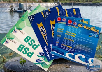 Tem dán thức ăn gia súc